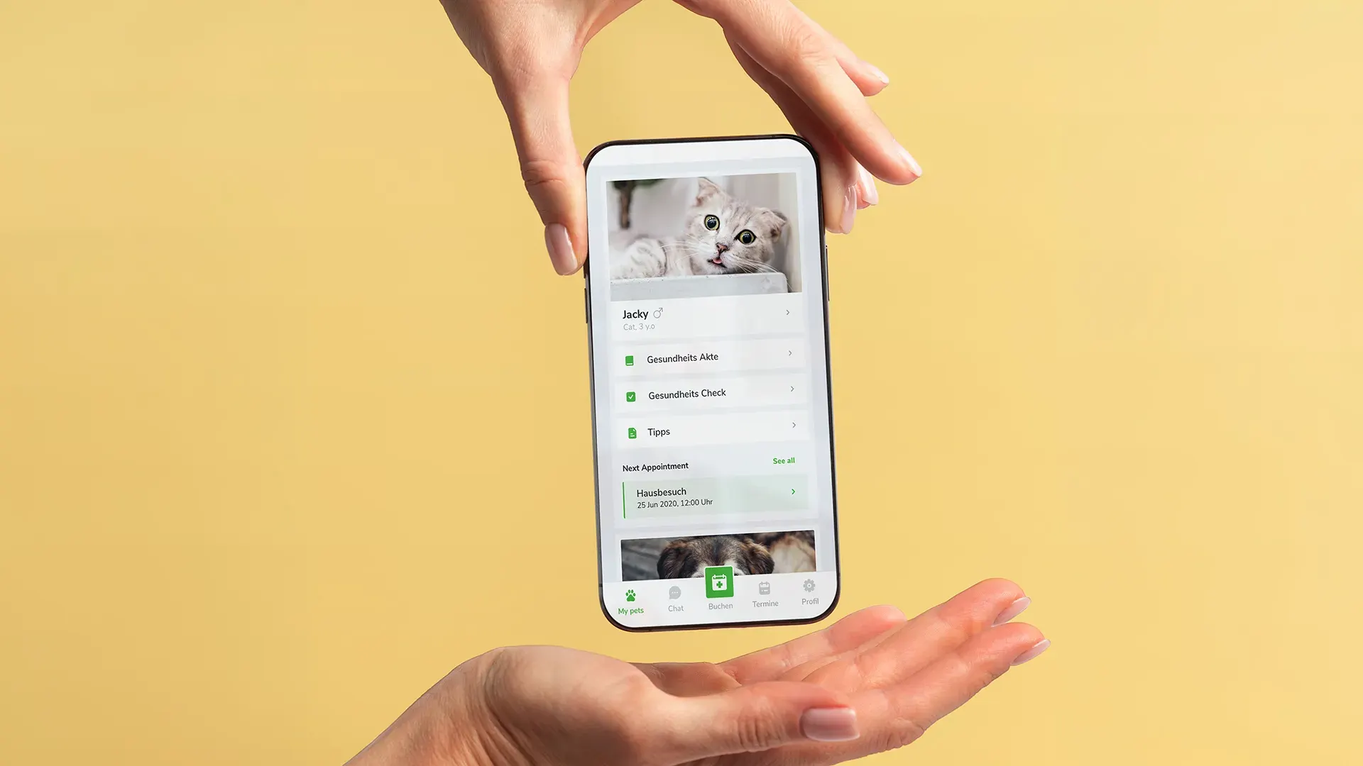 Cost-Efficient Animal Care App for Felmo