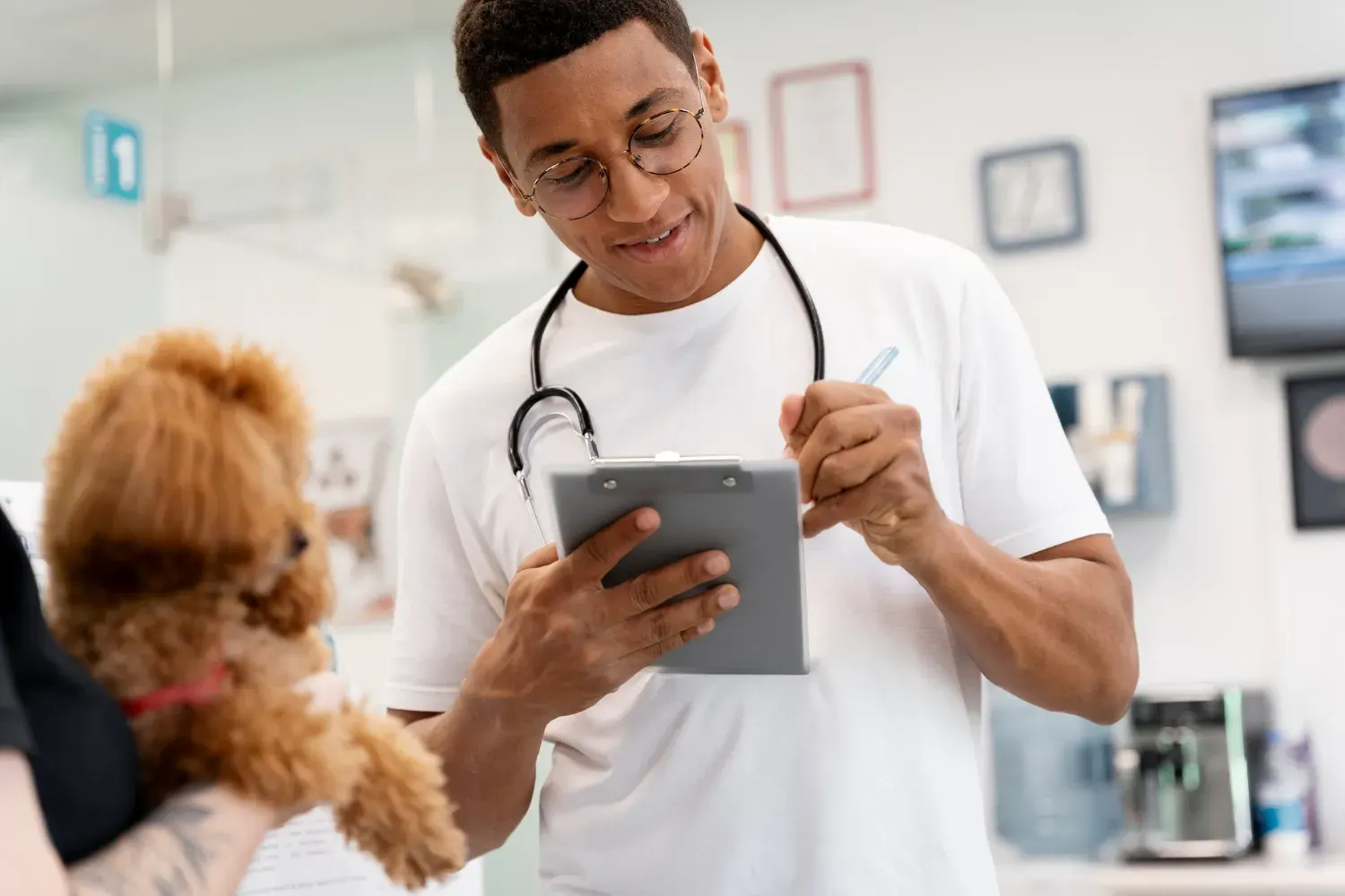 Illustration IA en médecine vétérinaire : l'avenir de la santé animale, c'est maintenant