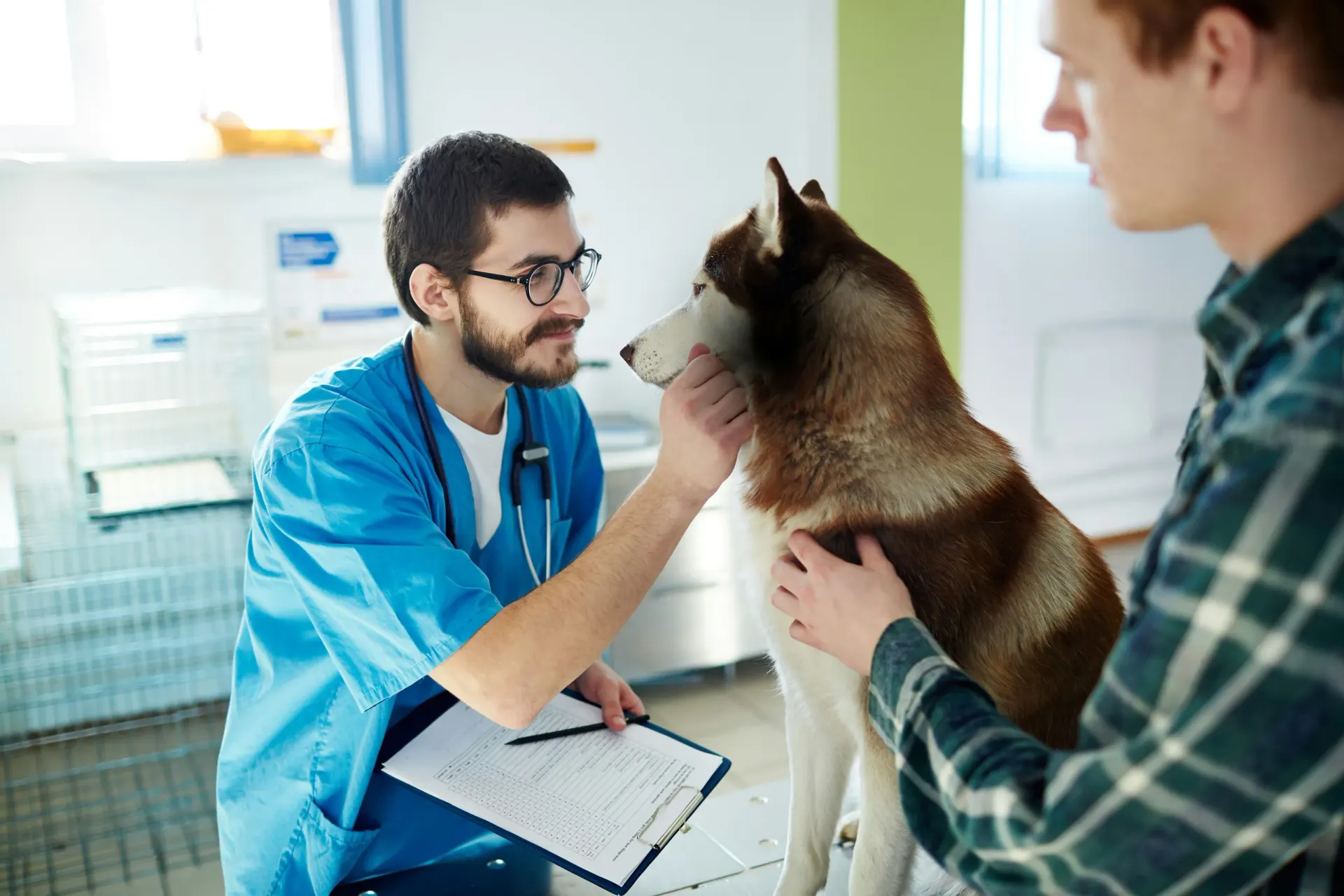 AI in Veterinary Medicine: The Future of Animal Health Is Now