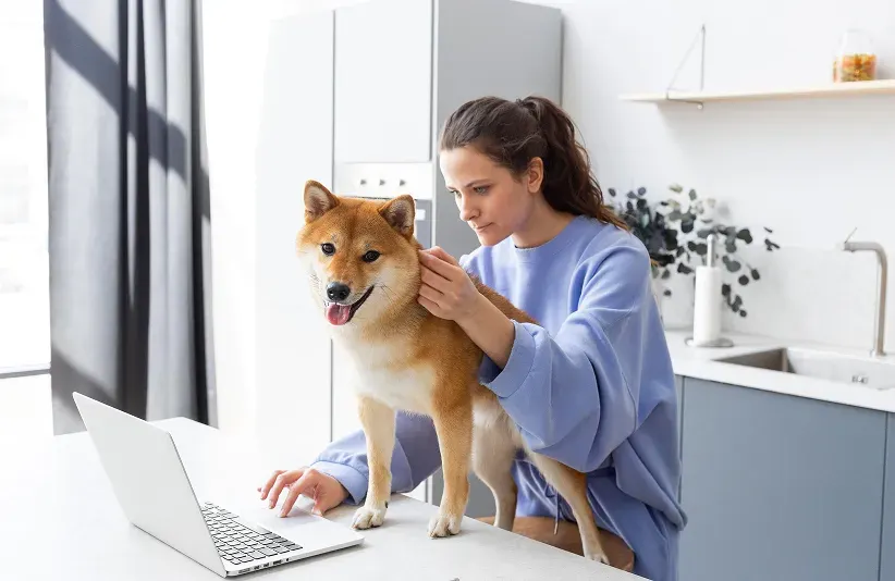 Veterinary Telemedicine in 2026: Adoption, Solutions, Effects, Challenges, and AI